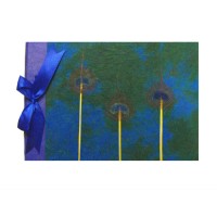 Large Beautiful Handmade Paper Peacock Feather Traditional Photo Album - Fair Trade Large Beautiful Handmade Paper Peacock Feather Traditional Photo Album - Fair Trade