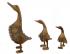 Hand Carved Wooden Bamboo Root Ducks - Set of 3 different sizes