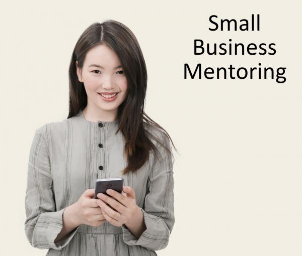 Small Business Mentoring